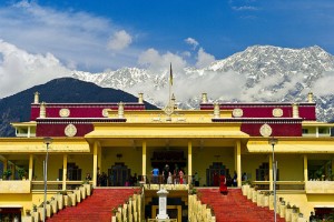 L’université Tantrique de Gyuto, non loin de Dharamasala, au pied des montagnes Himalayennes.