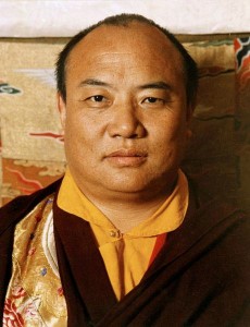 Sa Sainteté Rangjoung Rigpé Dorjé, le Seixième Karmapa