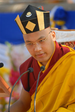 Sa Sainteté le Dix Septième Karmapa, Le Détenteur de la lignée Karma Kagyu