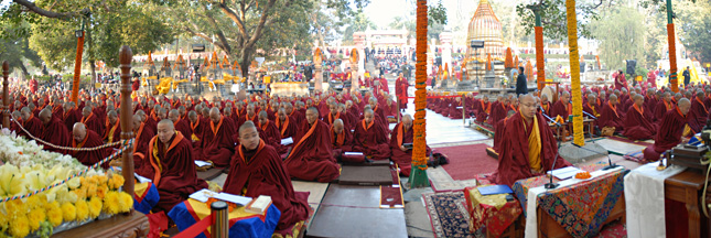 Sa Sainteté le Gyalwang Karmapa sous l’arbre de la Bodhi