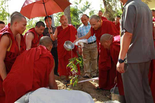 Sa Sainteté le Karmapa