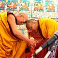 Le Gyalwang Karmapa assiste aux enseignements du Dalaï Lama