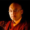 Annonce importante sur la visite du Gyalwang Karmapa en Europe en 2010