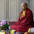 Le Karmapa commence les enseignements sur  les Trente-sept pratiques d’un bodhisattva