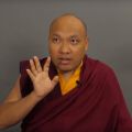 Le Karmapa donne une transmission de méditation de la sadhana de Chènrézi et fait le point sur sa situation